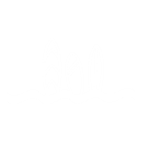 the search logo